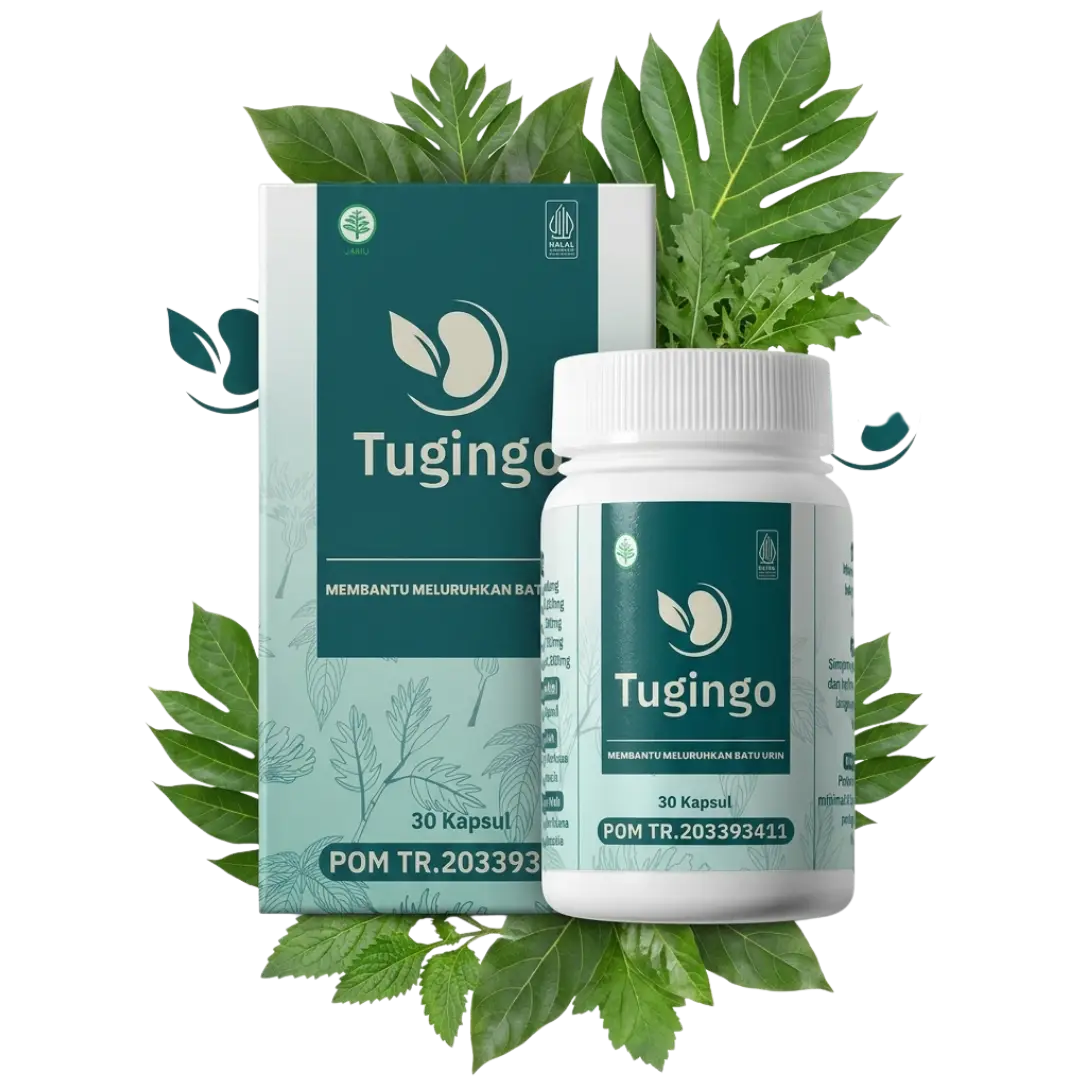Produk TUGINGO — kemasan kotak dan botol 30 kapsul herbal untuk membantu menjaga kesehatan ginjal, dikelilingi daun herbal segar